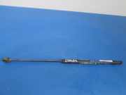 Heckklappendämpfer links Fiat Bravo II (198)