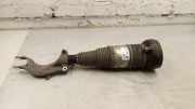 Front left pneumo shock absorber AUDI Q8 (4MN) 3.0 55 TFSI Mild Hybrid quattro 4M0616039BF