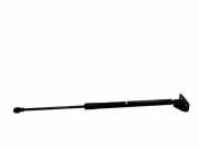 Heckklappe Gasdruckfeder rechts CHEVROLET CAPTIVA (C100, C140) 2.0 D 05532220813 96830123