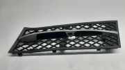 Gitter vorne unten BMW 5 (F10) 535 i 7200697