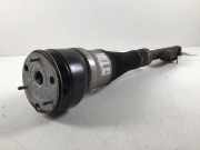 Stoßdämpfer hinten rechts MERCEDES-BENZ S (W222, V222, X222) S 350 BlueTEC / d (222.132, 222.032, 222.123) A2223207313