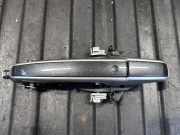 Türaußengriff hinten rechts