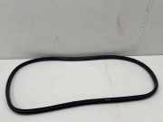 Dichtungsgummi der hinteren Tür (an der Karosserie) RENAULT CAPTUR II (HF_) TCe 100 (HFMT)