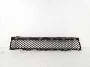 Gitter vorne unten JAGUAR XF (X250) 3.0 D 8X2317K945