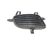 Kühlergrill unten Mercedes-Benz A-Klasse (W169) 1698850222