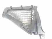 Grill Windlauf BMW X3 (F25) 9184005