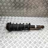 Stoßdämpfer rechts hinten Subaru Outback V (BS) 20365AL030