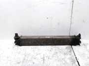 Ladeluftkühler Fiat Ducato Kasten (244) 1382428080