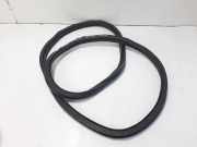 Dichtungsgummi der rechten hinteren Tür VW POLO (AW1, BZ1, AE1) 1.6 TDI 2G6867914B