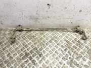 Stabilisator hinten Hyundai Kona I (OS, OSE, OSI) 55510CM000