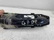 Türaußengriff hinten rechts