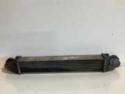 Ladeluftkühler MERCEDES-BENZ E (W211) E 280 CDI (211.020) G1592000 A2115001102