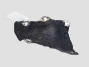 Heat Insulation OPEL INSIGNIA A Estate (G09) 2.0 CDTI (35) 55580799EK