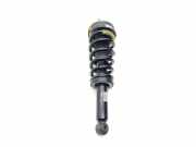 Stoßdämpfer hinten links JAGUAR F-TYPE Coupe (X152) 2.0 i4 JX5318080AA JX5380AA421