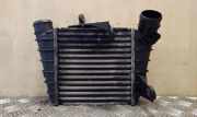 Ladeluftkühler VW POLO (9N_) 1.9 TDI 6Q0145804A