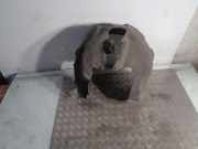 Radhaus rechts hinten Audi A6 Avant (4G, C7) 4GO810172A