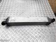 Ladeluftkühler Renault Laguna Coupe (T) 144960001RM4925005