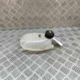 Ausgleichsbehälter NISSAN JUKE (F16) DIG-T 117 21711-00Q0C 217102572R