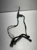 AdBlue Einspritzdüse BMW X7 (G07) xDrive 30 d 8580210