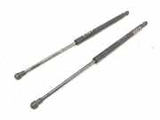 Gasfeder für Motorhaube Citroen Xsara (N1) 9629618980