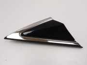 Kotflügelzierleiste vorne rechts