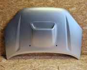 Motorhaube Toyota RAV 4 II (A2) 8C7456720261