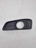 Nebelscheinwerferverkleidung TOYOTA COROLLA Verso (ZER_, ZZE12_, R1_) 2.2 D-4D (AUR10_) 521280F060