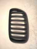 Kühlergrill komplett BMW X5 (E53) 51137113737