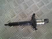 Einspritzdüse RENAULT VEL SATIS (BJ0_) 3.0 dCi (BJ0J, BJ0N) 8972391617