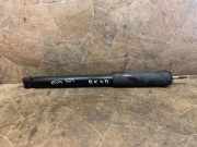 Stoßdämpfer hinten rechts