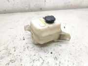 Ausgleichsbehälter KIA CARENS III (UN) 2.0 CVVT 254311D200