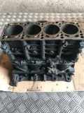 Motorblock AUDI A4 (8EC, B7) 1.9 TDI 038AP