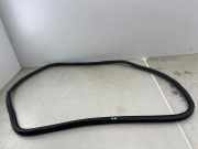 Türdichtungsgummi hinten links BMW 5 (G30) 520 d 7468732