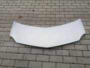 Motorhaube RENAULT MODUS / GRAND MODUS (F/JP0_) 1.5 dCi (FP0D, JP0D)