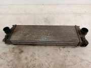 Ladeluftkühler VW CRAFTER 30-50 Flatbed (2F_) 2.5 TDI 8961 96628