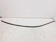 Dachleiste links BMW 5 (G30) 530 i 1315743374106