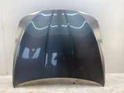 Motorhaube BMW 5 Touring (F11) 535 d