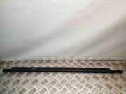 Türfensterleiste hinten links