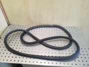 Türgummi links vorne Opel Zafira Tourer C (P12)