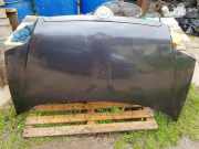 Motorhaube FIAT ULYSSE (179_) 2.0 JTD