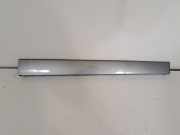 Türverkleidung rechts vorne BMW X3 (F25) 8048154