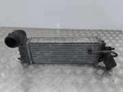 Ladeluftkühler PEUGEOT 807 (E) 2.2 HDi 870229H 1489396080