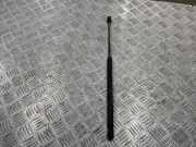 Heckklappe Gasdruckfeder links MERCEDES-BENZ C (W202) C 220 D (202.121) 2029800364