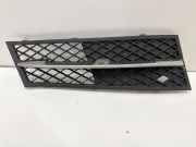 Gitter Grill vorne rechts BMW 5 (F10) 520 d 7200700