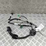 Türverkabelung hinten links VW TIGUAN (AD1) 1.5 TSI 5NA971693CA