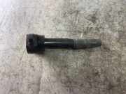 Zündspule MITSUBISHI GRANDIS (NA_W) 2.0 DI-D (NA8W) Fk0278