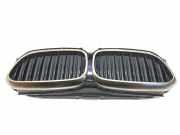 Vorderer oberer Gitter BMW 5 (G30) M 550 i xDrive 187156