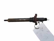 Düsenstöcke Citroen C5 III (RD) 9688438580