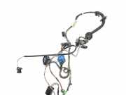 Türverkabelung hinten links JAGUAR XJ (X308) 3.2 LNC3190GE