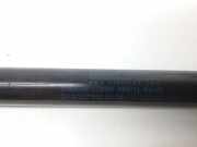 Heckklappe Gasdruckfeder links MERCEDES-BENZ E Coupe (C207) E 220 CDI / d (207.302) A2079800564